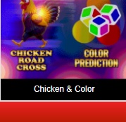 Chicken & Color